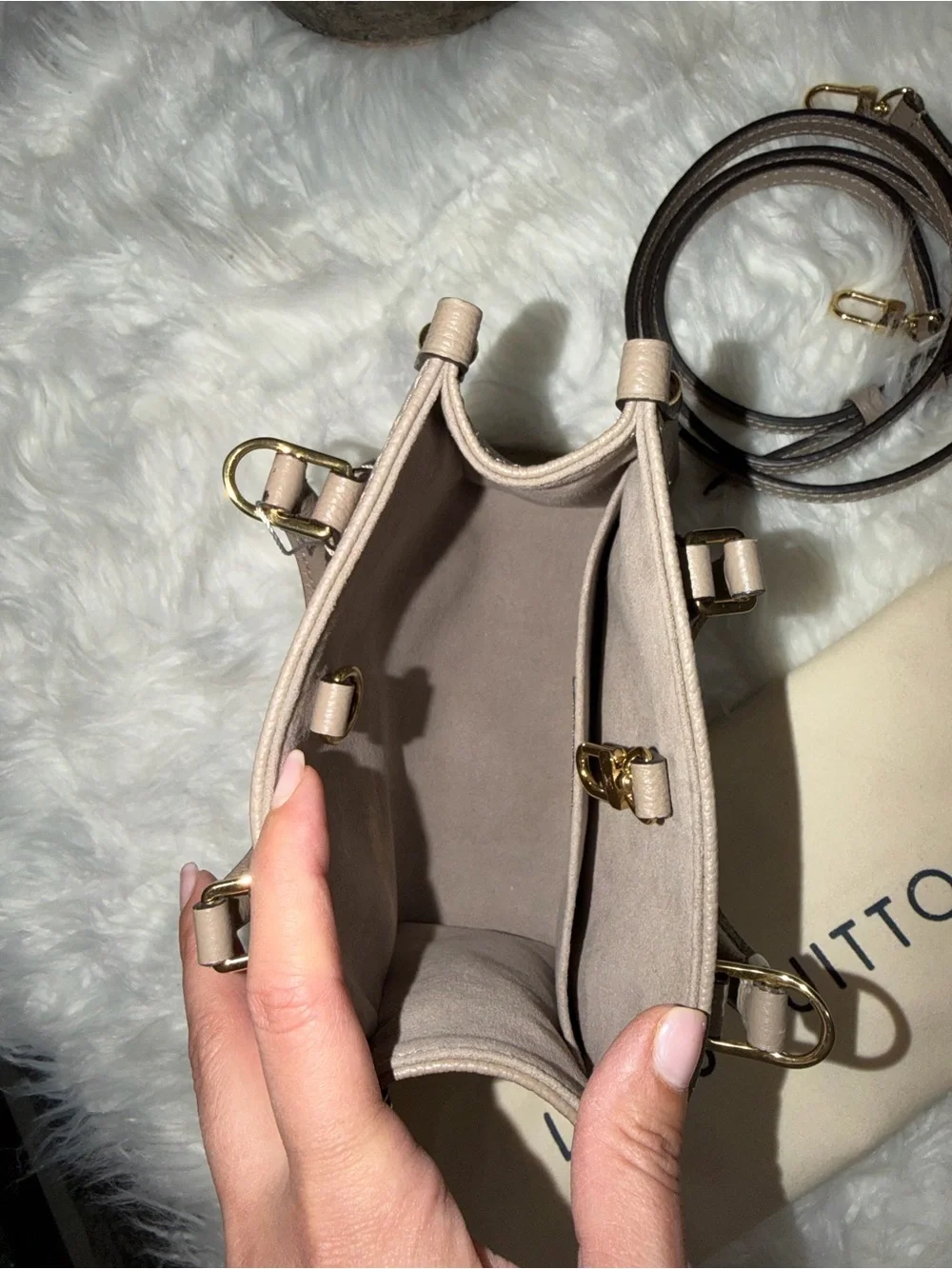 LOUIS VUITTON GIANT FELICIE ON THE GO BB BAG